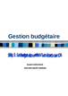 Les budgets des ventes