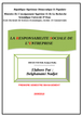 La responsabilité sociale de l'entreprise (RSE)