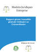 Rapport gérant Assemblée générale Ordinaire ou extraordinaire (rédigé par des avocats)