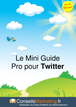 Le mini guide pro pour Twitter