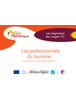 Les diagnostics des usages TIC : les professionnels du tourisme