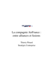 Etude de cas Air France : entre alliances et fusions