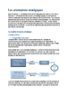 Les orientations stratégiques